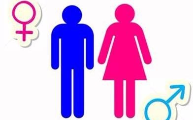 giáo dục giới tính