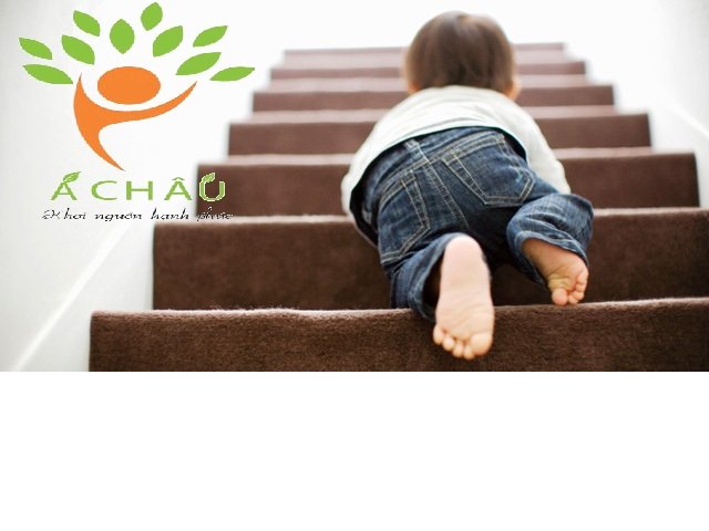 Phòng tránh ngã, va đập