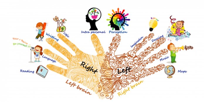 sinh-trac-van-tay sinh-trac-van-tay